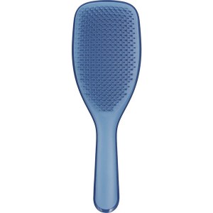 Купить расческу для волос Tangle Teezer The Large Wet Detangler Capri Blaze Киев, Украина