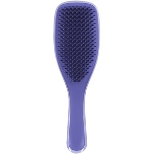 Купить расческу для волос Tangle Teezer The Wet Detangler Damson Delicious Киев, Украина