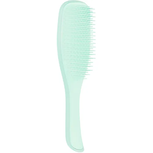 Універсальна щітка для волосся Tangle Teezer The Wet Detangler Fine & Fragile Sea Spray Green з ручкою «морська хвиля»