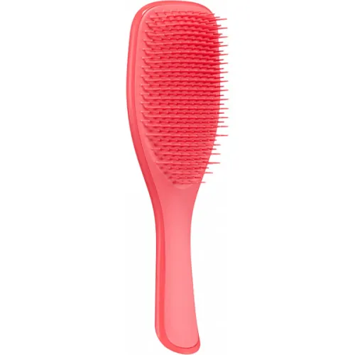 Універсальна щітка для волосся Tangle Teezer The Wet Detangler Pink Punch з ручкою «рожевий пунш»