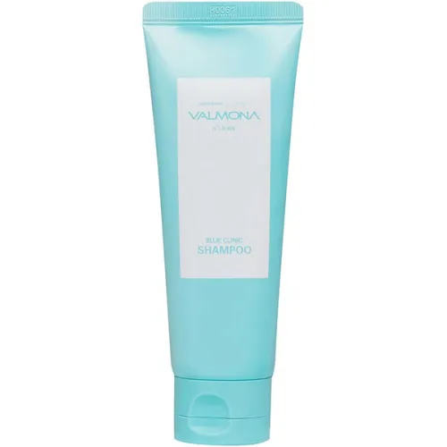 Зволожуючий шампунь для волосся Valmona Recharge Solution Blue Clinic Shampoo, 100 мл.